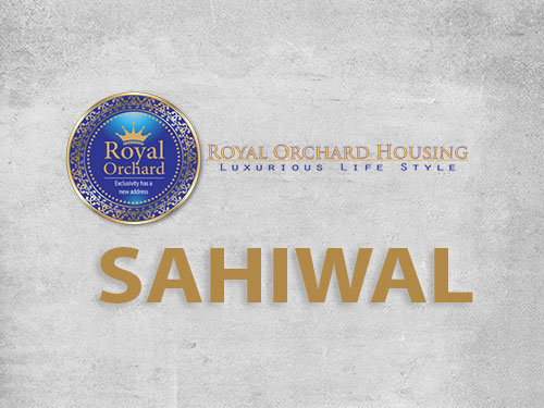 Royal Orchard Sahiwal