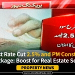 Interest Rate Cut 2.5% and PM Construction Package: Boost for Housing Sectors Real Estate