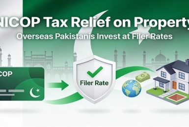 Overseas Pakistanis Tax Relief on Property in Pakistan