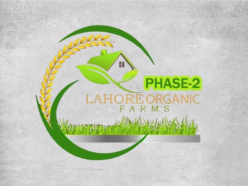 Lahore Organic Farms Phase 2 | 1 Year Installment Plan | Opposite to DHA Phase 7